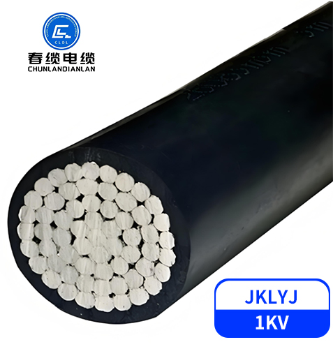 JKLYJ    1kV